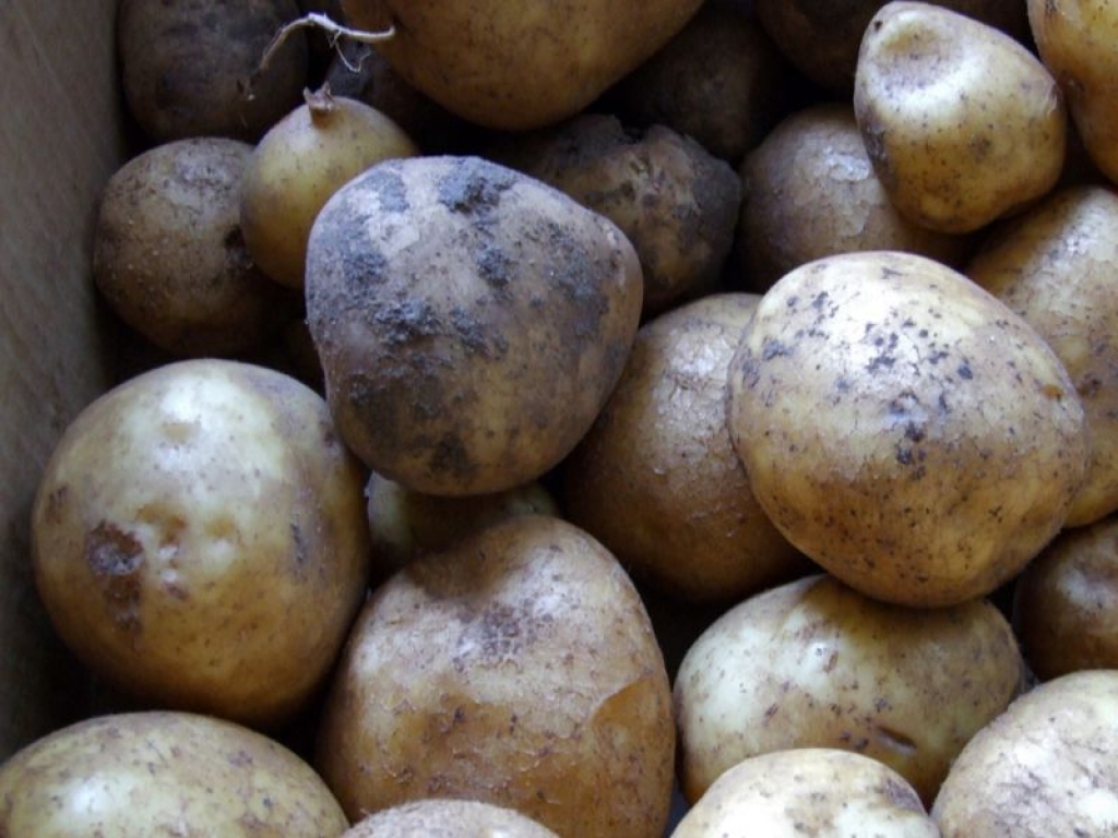 Fotoattēlam ilustratīva nozīme.
Autors: pilseta24.lv