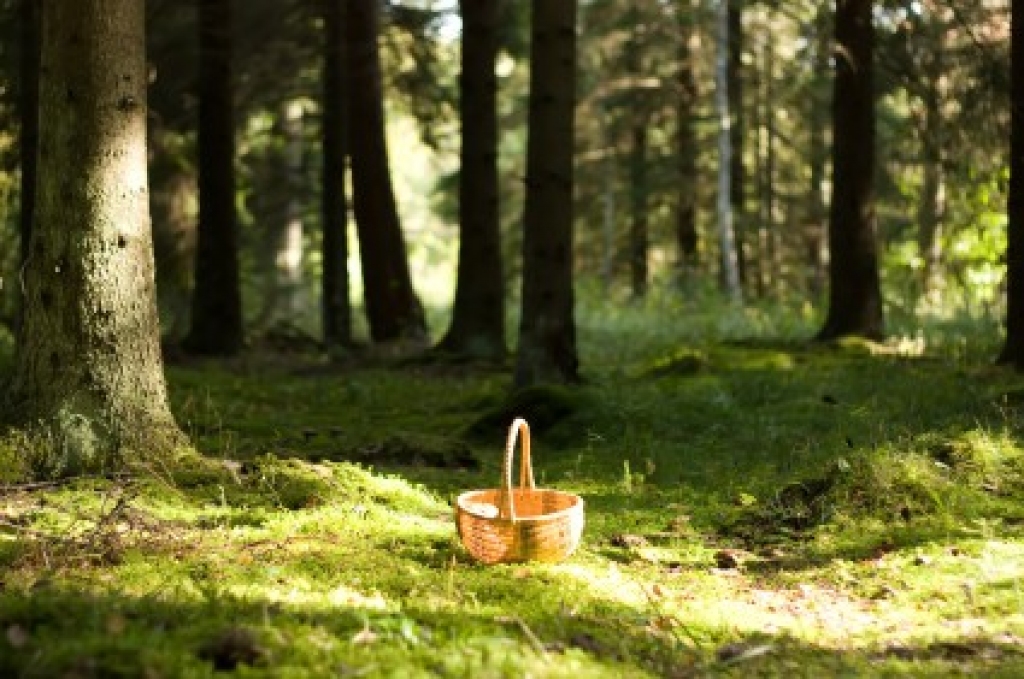 Fotoattēlam ilustratīva nozīme.