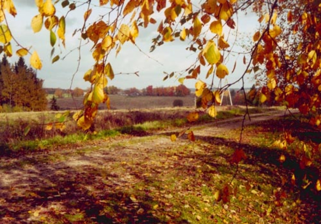 Fotoattēlam ilustratīva nozīme.