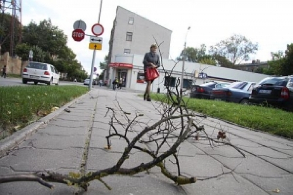 Fotoattēlam ilustratīva nozīme.
Autors: zz.lv