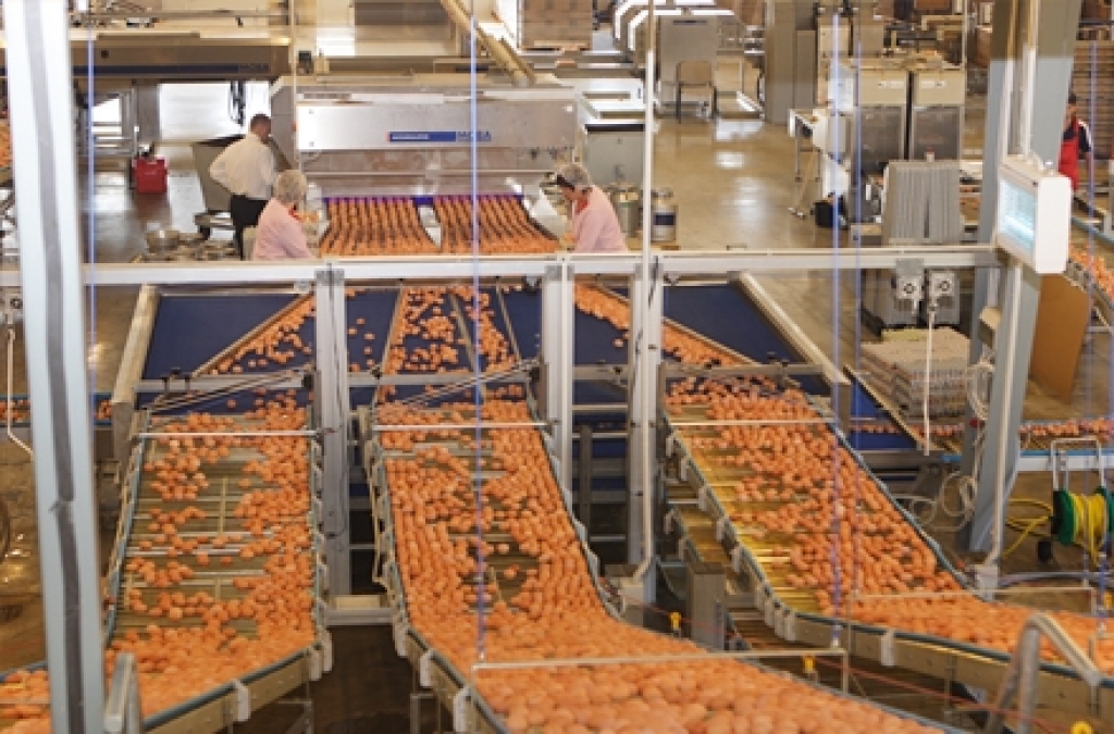 Fotoattēlam ilustratīva nozīme.
Autors: balticovo.lv