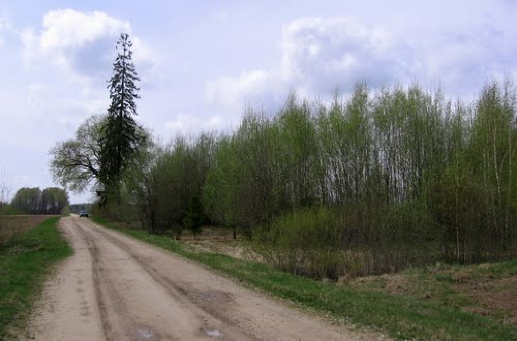 Vecsaules apkārtne.
Autors: worldatlaspedia.com