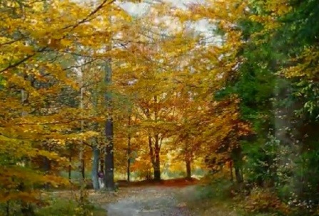 Autors: M. Apškrūms no epadomi.lv