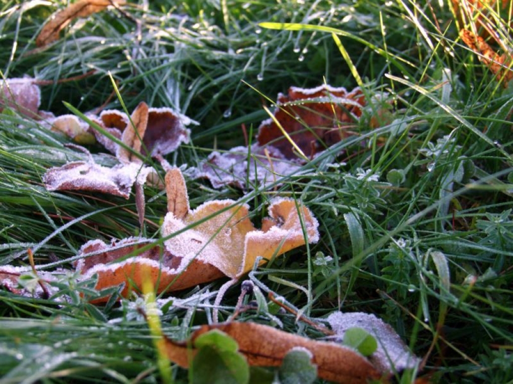 Fotoattēlam ilustratīva nozīme.
Autors: pilseta24.lv