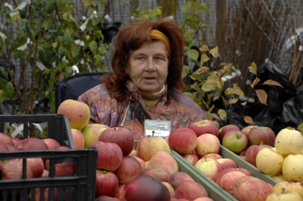 Lai arī Valles bioloģisko augļu un stādu audzētava «Dzērves» vēl nevar lepoties ar tik lielu krāsainu ābolu un bumbieru klāstu kā «Pūres» stends, daudzi apmeklētāji apstājas apsveicināties un palūgt padomu pazīstamajai dārzkopei un augu aizsardzības speciālistei Mārai Kilēvicai.
Autors: Ivars Bogdanovs