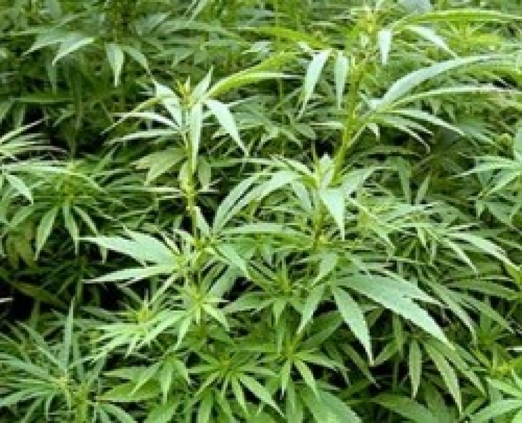 Fotoattēlam ilustratīva nozīme.