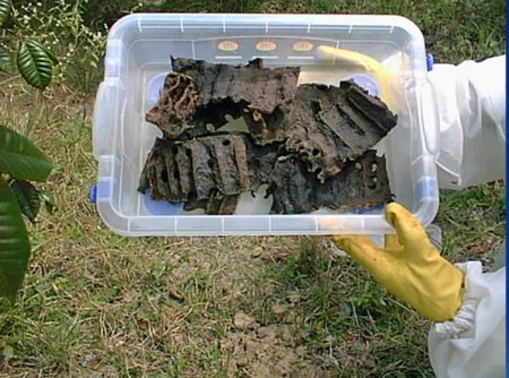 Fotoattēlam ilustratīva nozīme.
Autors: biskopjiem.lv