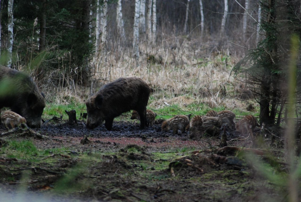 Fotoattēlam ilustratīva nozīme.