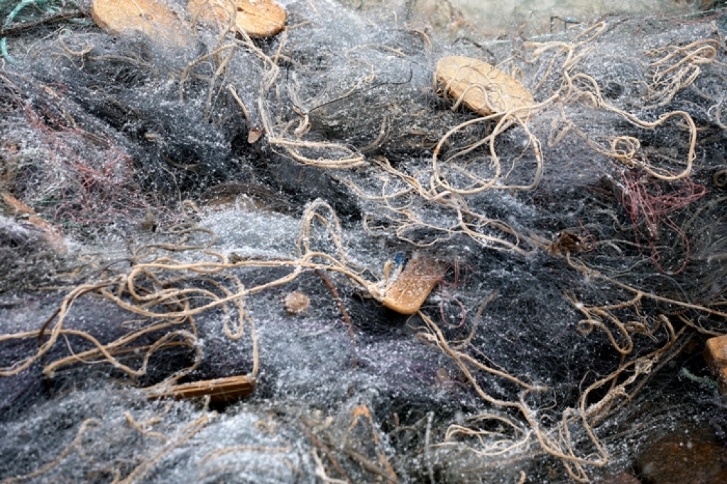 Fotoattēlam ilustratīva nozīme.
Autors: apollo.lv