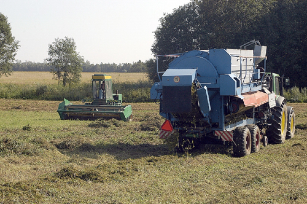 Codes pagasta zemnieku saimniecībā «Zeltkalniņi» ar integrēto metodi audzē zaļos zirņus, no kuriem SIA «Kronis» ražo konservus ar veselīga produkta zīmi. 