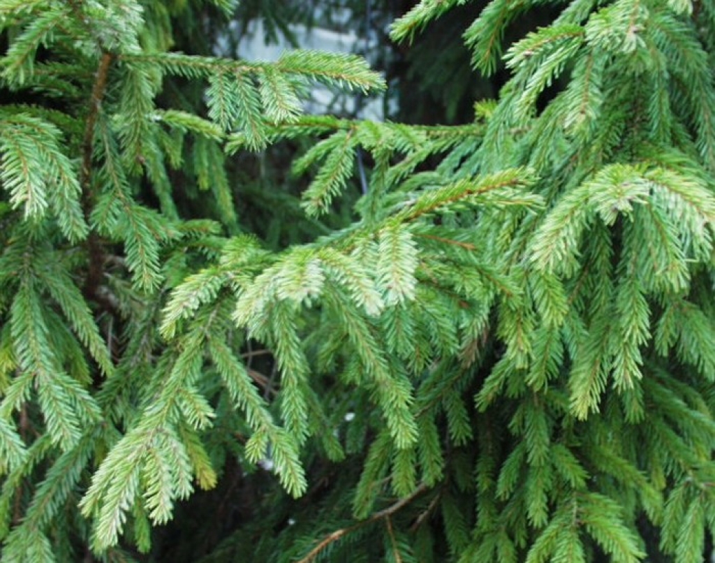 Fotoattēlam ilustratīva nozīme.
Autors: apollo.lv