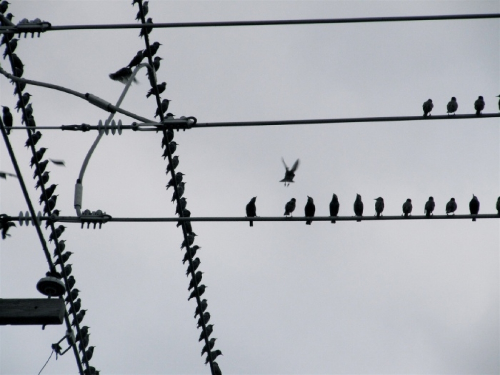 Fotoattēlam ilustratīva nozīme.
Autors: apollo.lv