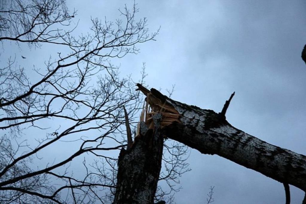 Fotoattēlam ilustratīva nozīme.