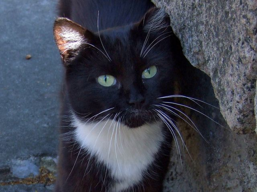 Fotoattēlam ilustratīva nozīme.
Autors: pilseta24.lv