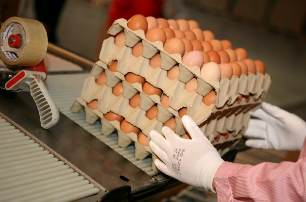 Fotoattēlam ilustratīva nozīme.
Autors: delfifoto.lv