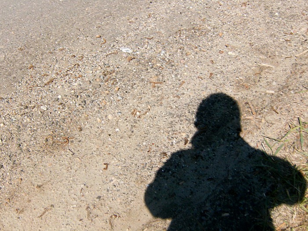 Fotoattēlam ilustratīva nozīme.
Autors: apollo.lv