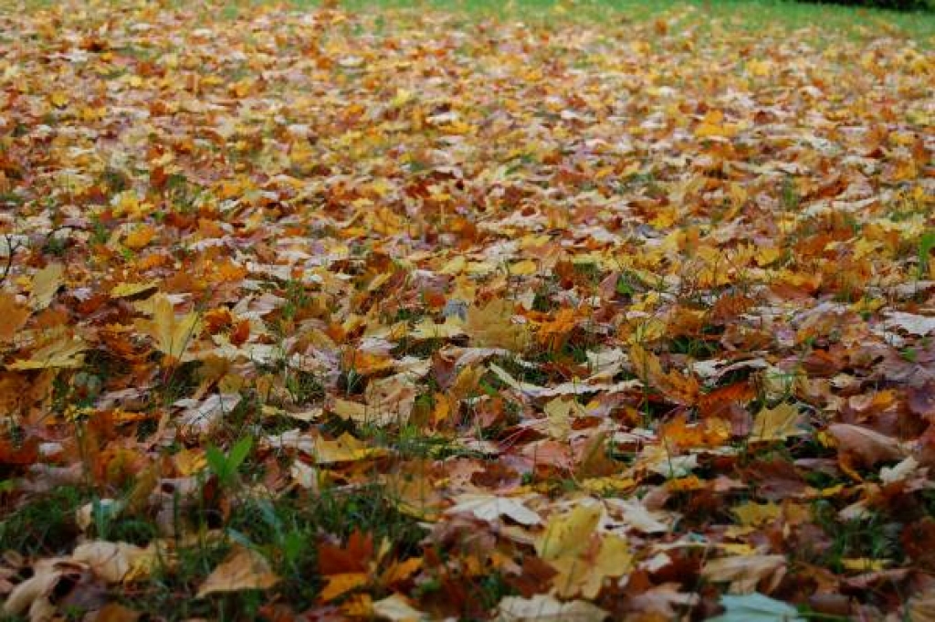 Fotoattēlam ilustratīva nozīme.