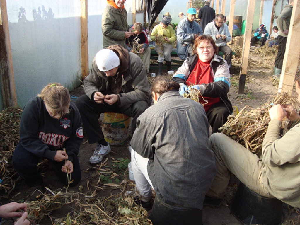 Autors: no veselības un sociālās aprūpes centra «Zemgale» Iecavas filiāles arhīva
