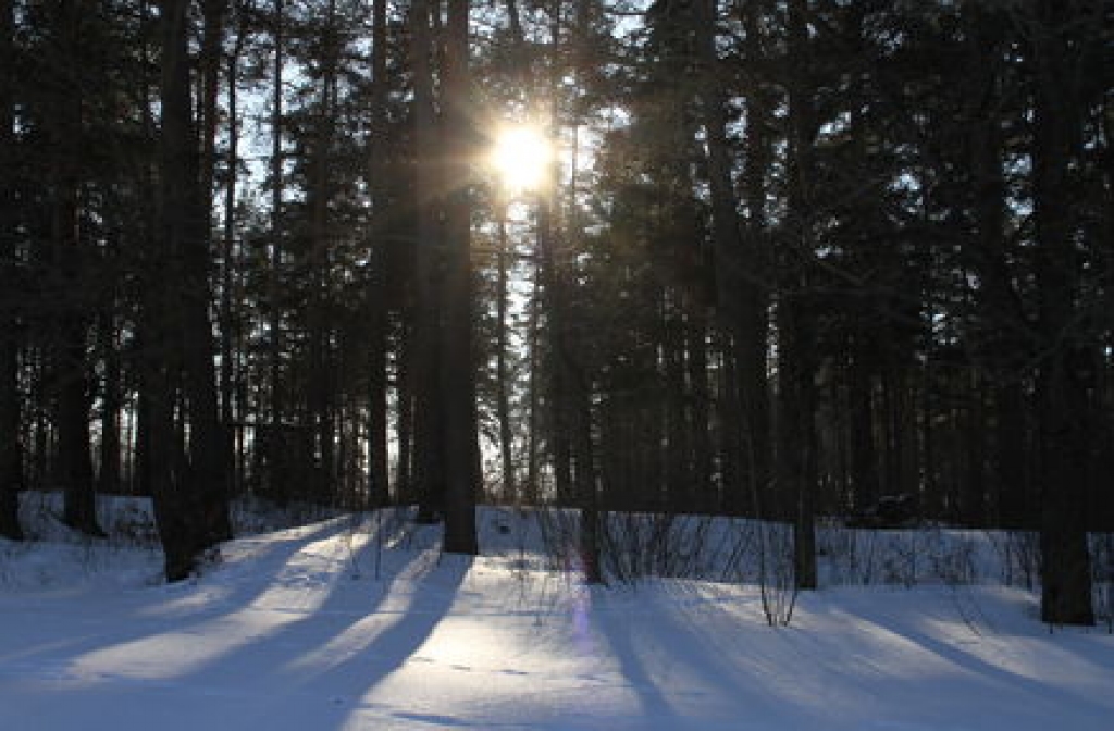 Autors: R.Oliņš/Apollo