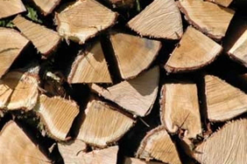 Fotoattēlam ilustratīva nozīme.