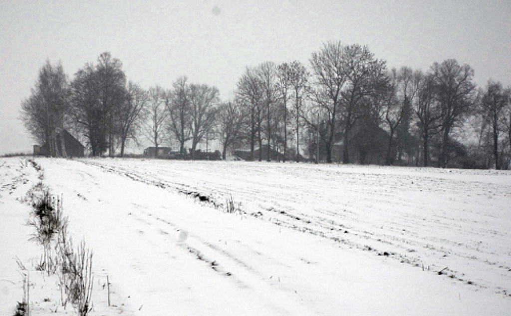 Uz «Kadariem» un «Jaunsūbrēniem» sniegā nav iemīta neviena pēda, šajās Viesturu pagasta mājās neviens vairs nedzīvo.