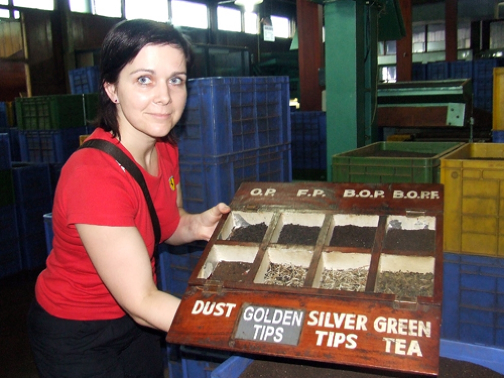 Elīna Jegorova tējas ražotnē Šrilankā. Tēju ir izdevīgi pirkt nevis veikalos, bet  aptiekā, kur tā ir lētāka.