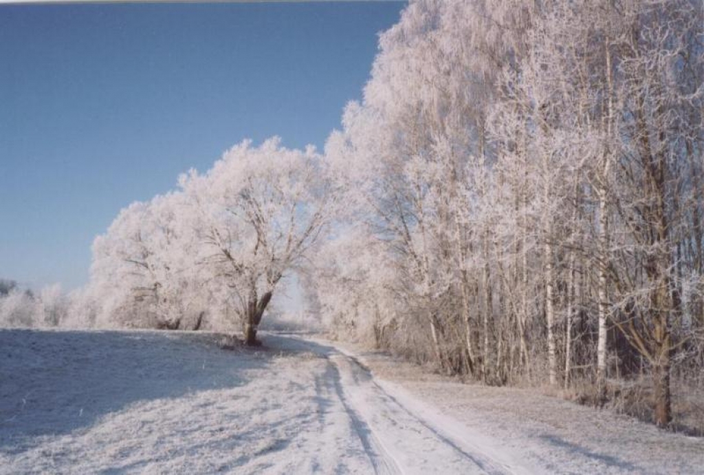 Fotoattēlam ilustratīva nozīme.
Autors: poga.lv