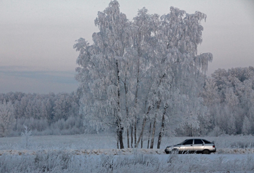 Autors: no www.apollo.lv