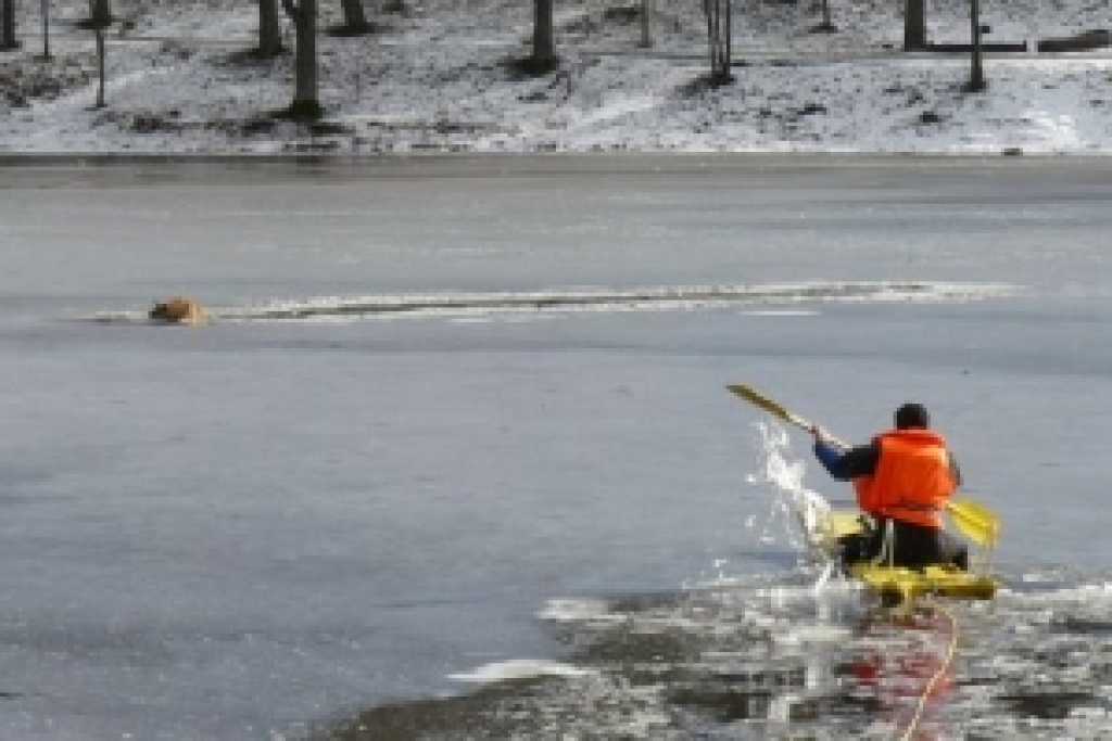 Fotoattēlam ilustratīva nozīme.
Autors: ziemellatvija.lv