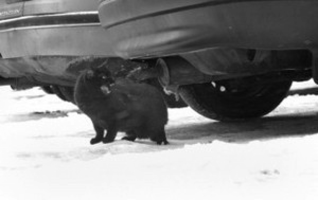 Fotoattēlam ilustratīva nozīme.