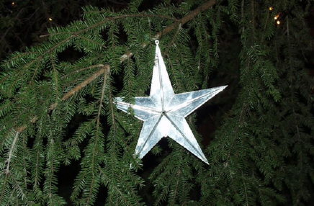 Fotoattēlam ilustratīva nozīme.
Autors: 1188.lv