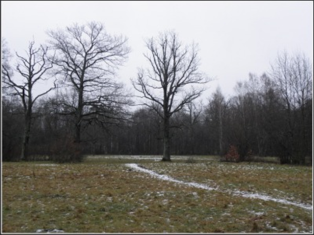 Fotoattēlam ilustratīva nozīme.
Autors: weatherfoto.wordpress.com