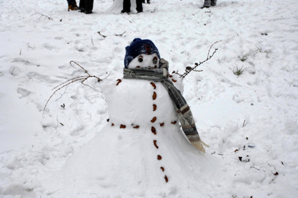 Lielais putenis nebija šķērslis ziemas priekiem Rundāles novada Viesturu pagasta Bērstelē. Tradicionālās sniegavīru celšanas sacensības Bērsteles parkā svētdien, 19. februārī, pulcēja padsmit dalībnieku.

«Biju satraukusies, jo pārsteidza...
Autors: Ivars Bogdanovs