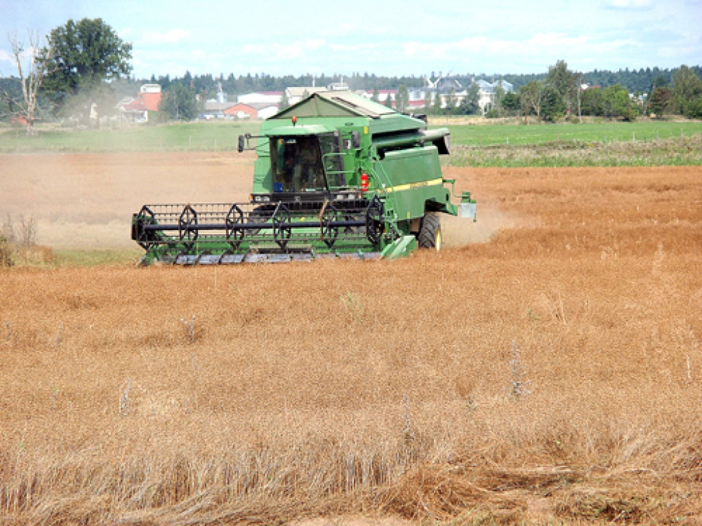 Linu audzēšana, ar ko nodarbojas SIA «Iecavnieks», iederas augu sekas maiņā.