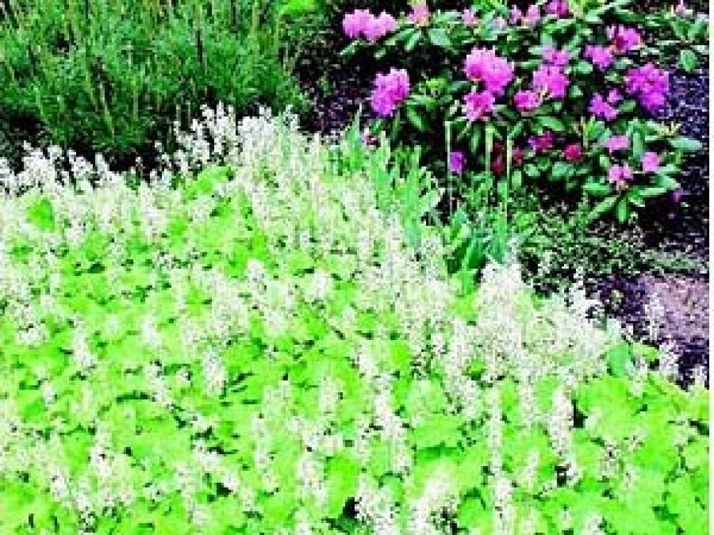 Fotoattēlam ilustratīva nozīme.
Autors: apollo.lv