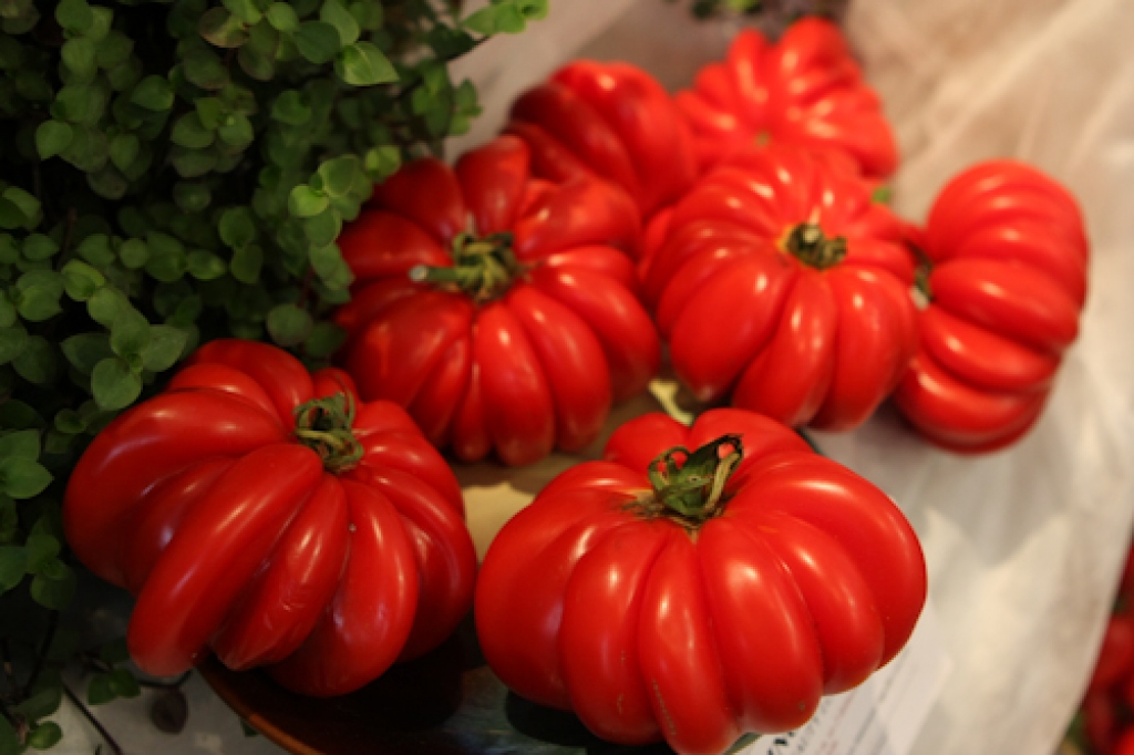 Fotoattēlam ilustratīva nozīme.
Autors: apollo.lv