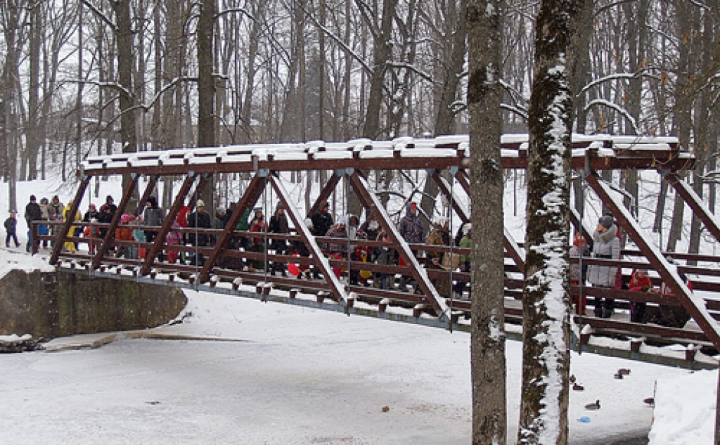 Meteņdienas ķekatu gājiens ceļā uz Divkalniņu Iecavas parkā.
Autors: Madara Ērgle