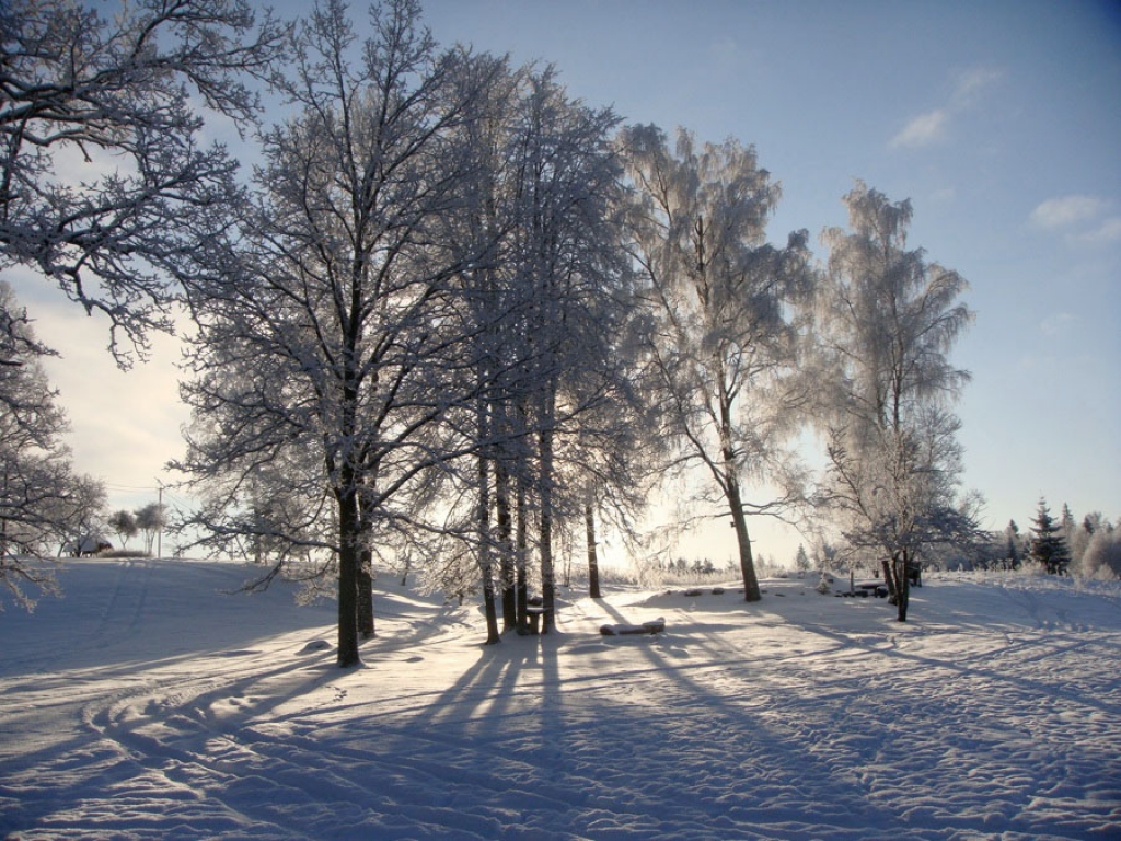 Fotoattēlam ilustratīva nozīme.