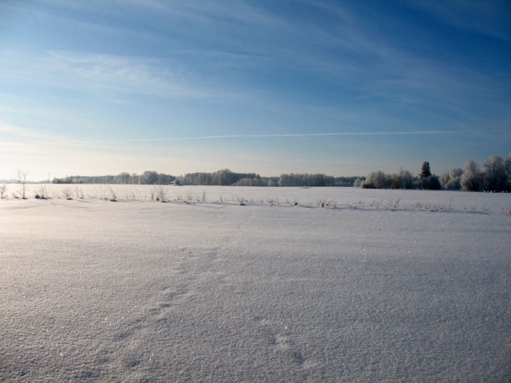 Fotoattēlam ilustratīva nozīme.
Autors: pilseta24.lv