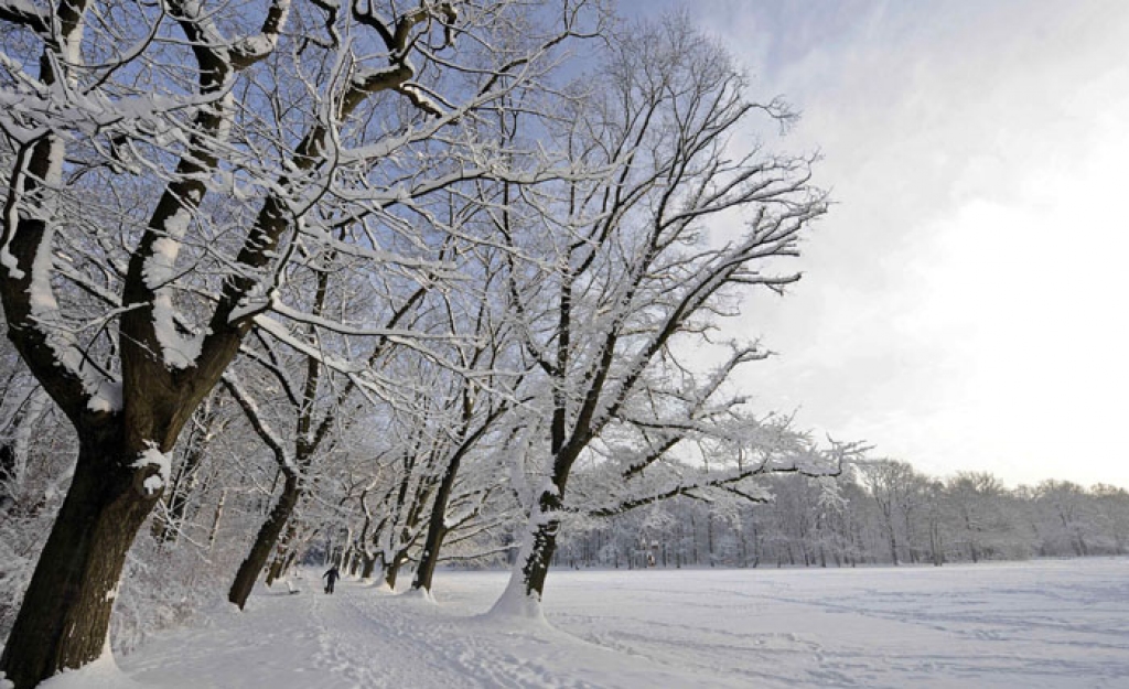 Fotoattēlam ilustratīva nozīme.