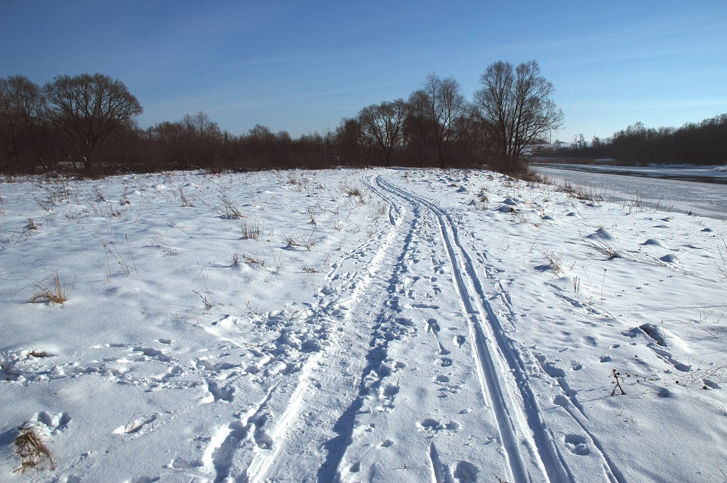 Autors: No «Bauskas Dzīves» arhīva.
