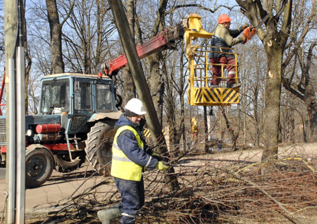 Bauskā šomēnes turpinās bīstamo koku un zaru zāģēšana.