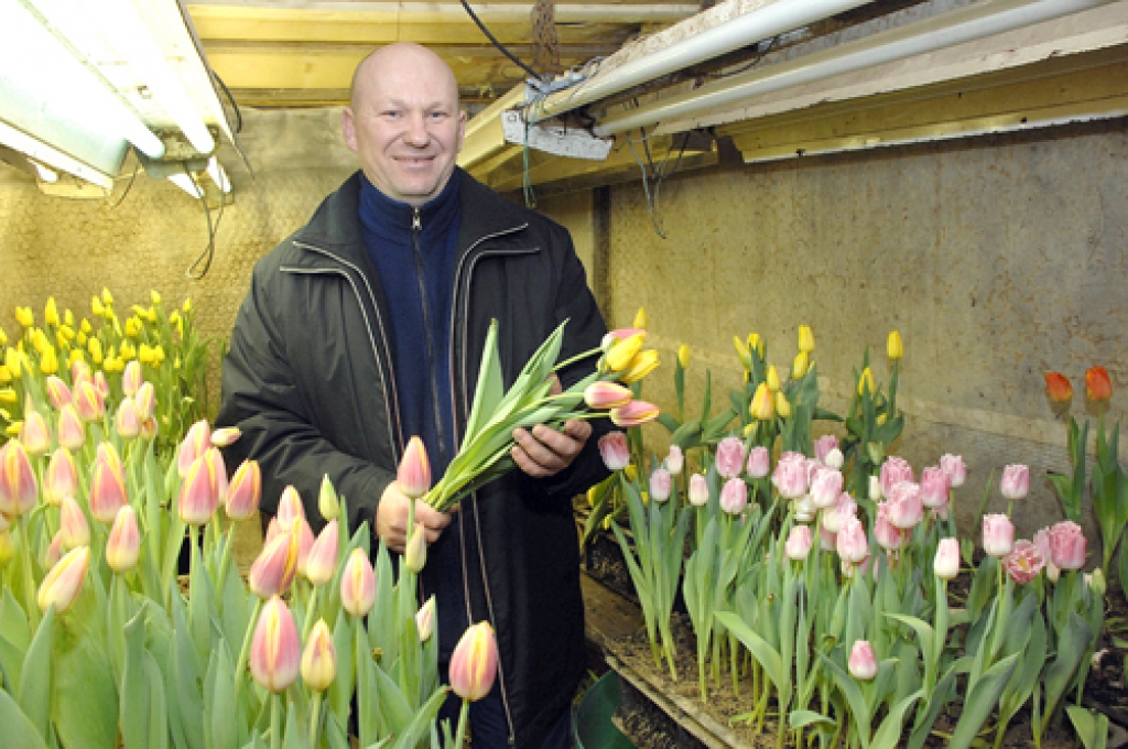 «Skaistus jums, sievietes, rīt svētkus! Lai dāvanā jūs saņemtu visskaistākos ziedus, vēlams Latvijā audzētus,» tā vēl codietis Nils Šastakovičs.