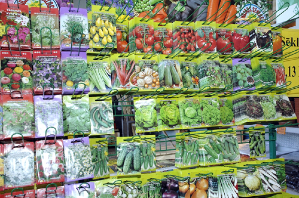 Dārzeņu un puķu sēklu stendi Bauskas puses veikalos ir piepildīti.