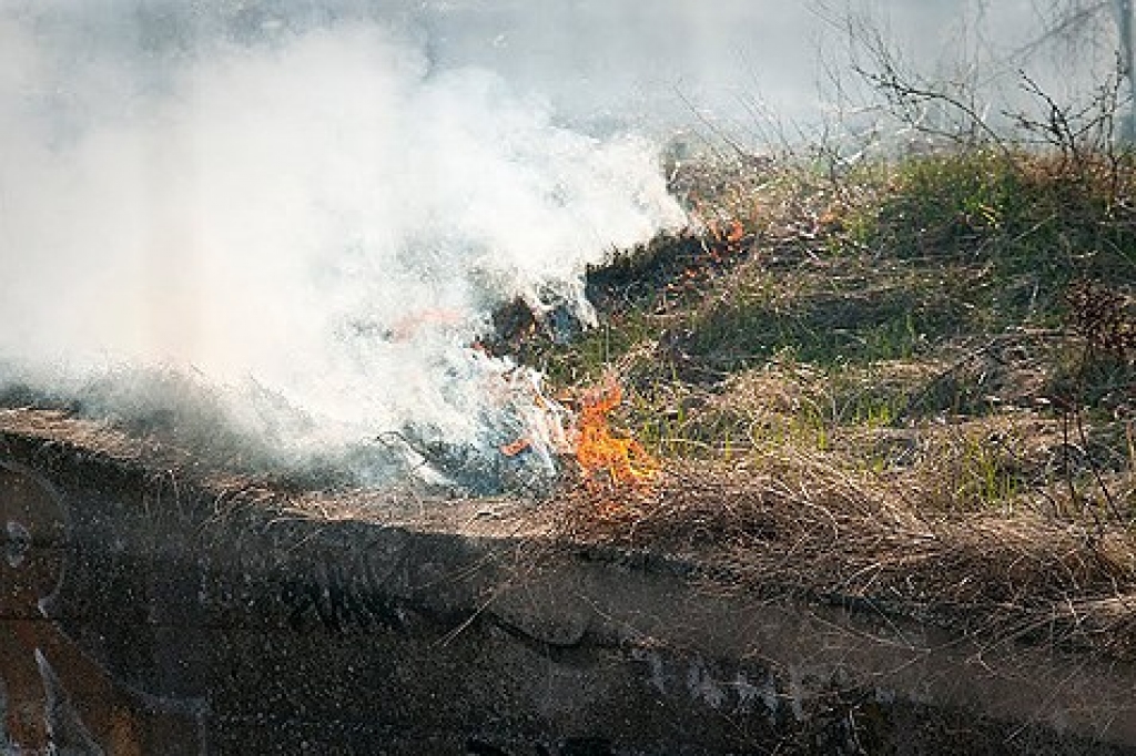 Fotoattēlam ilustratīva nozīme.