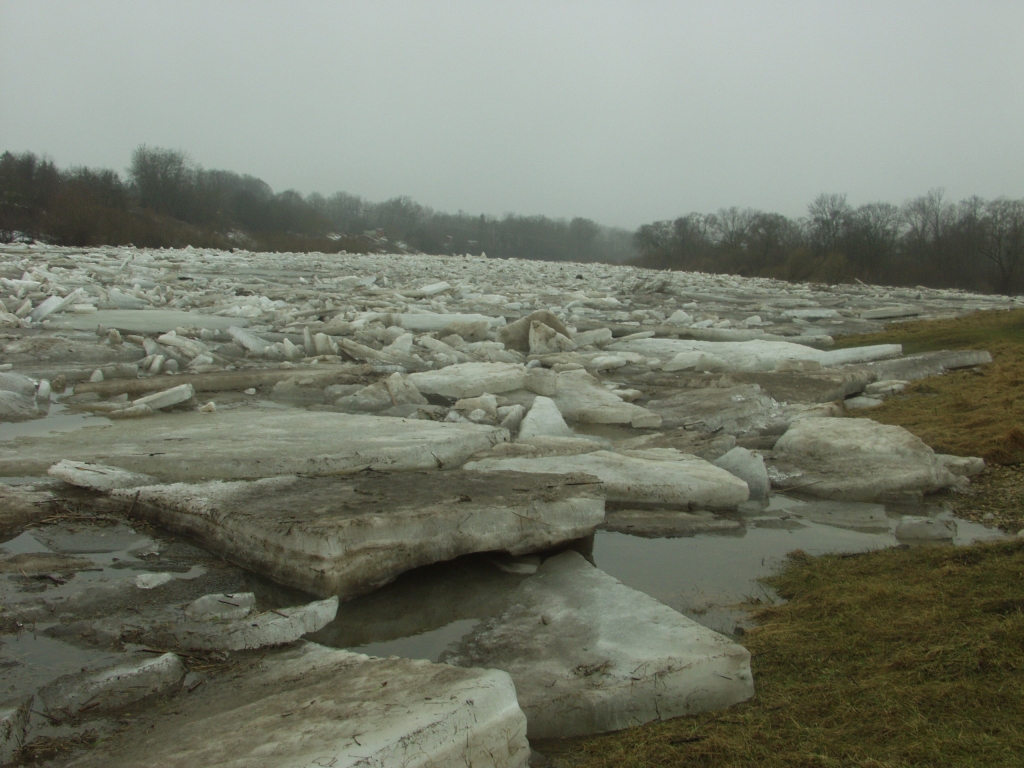 Fotoattēlam ilustratīva nozīme.
Autors: No «Bauskas Dzīves» arhīva.
