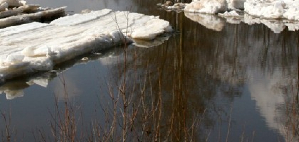 Fotoattēlam ilustratīva nozīme.
Autors: apollo.lv