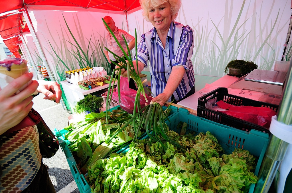 Fotoattēlam ilustratīva nozīme.
Autors: laukulabumi.wordpress.com