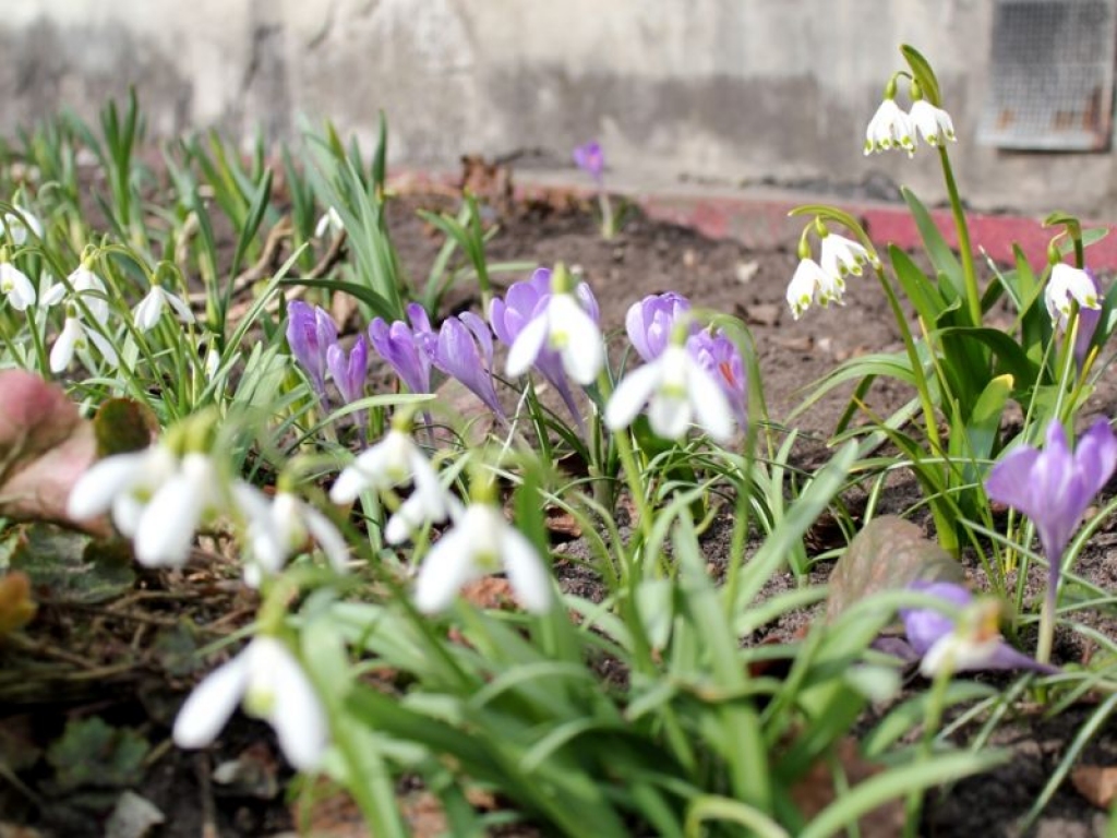 Fotoattēlam ilustratīva nozīme.