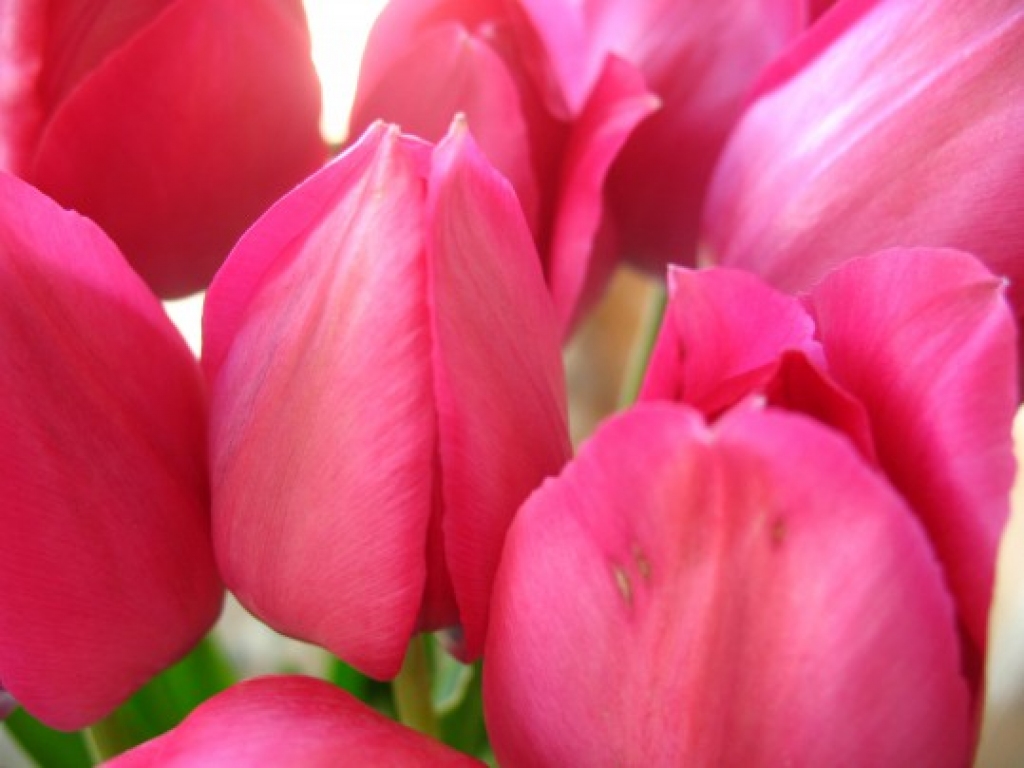 Fotoattēlam ilustratīva nozīme.